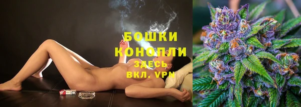 PSILOCYBIN Дмитровск