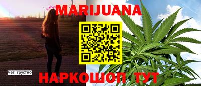 крисы Гатчина