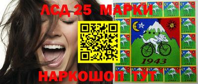 крисы Гатчина