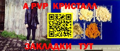 крисы Гатчина