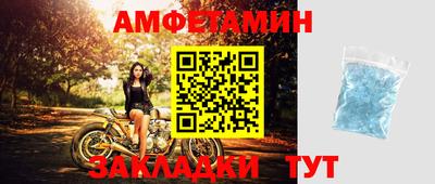 крисы Гатчина