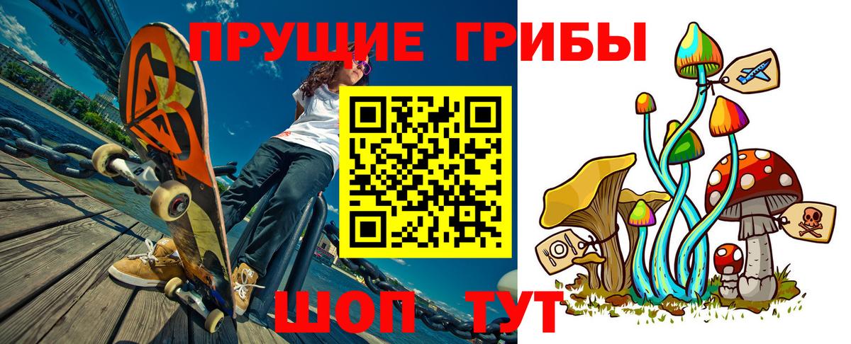 Галлюциногенные грибы Psilocybine cubensis  Зеленодольск 