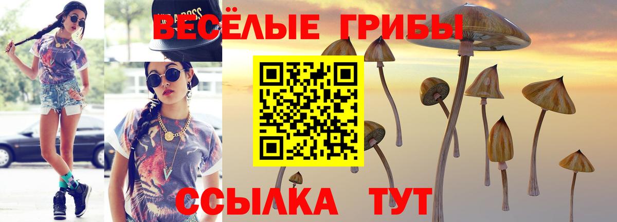 Зеленодольск  Псилоцибиновые грибы Psilocybe  Вход с VPN 
